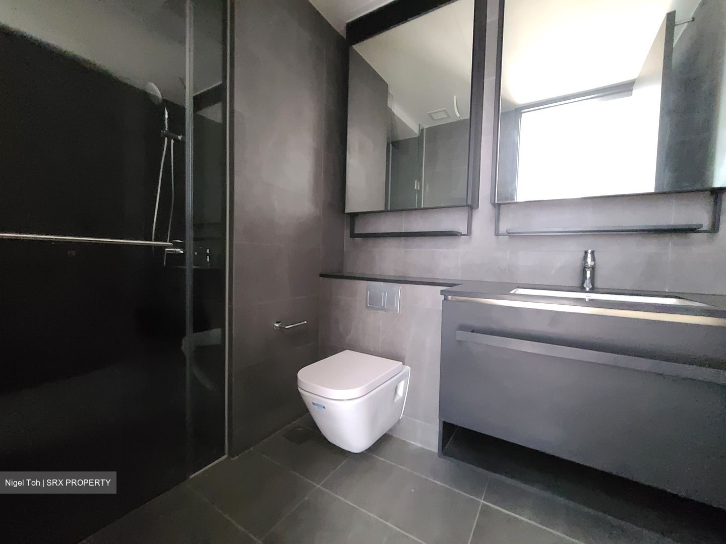 Park Colonial (D13), Condominium #567175961